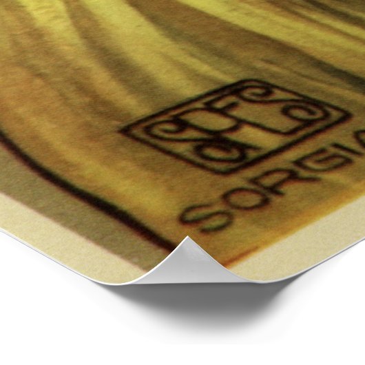 Ditta Giacomuzzi Venezia Poster (Hoek)