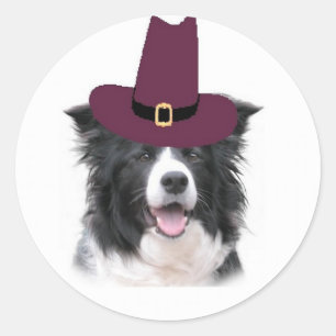 Ditzy Dogs~Border Collie Sticker~Thanksgiving Ronde Sticker