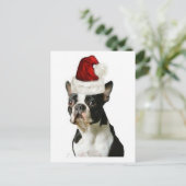 Ditzy Dogs~Original Briefkaart~Boston Terrier Briefkaart (Staand voorkant)