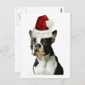 Ditzy Dogs~Original Briefkaart~Boston Terrier Briefkaart (Voorkant / Achterkant)