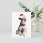 Ditzy Dogs~Original Briefkaart~Miniature Schnauzer Briefkaart (Staand voorkant)