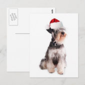 Ditzy Dogs~Original Briefkaart~Miniature Schnauzer Briefkaart (Voorkant / Achterkant)