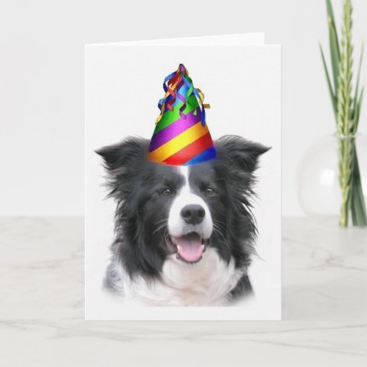 Ditzy Dogs~Original Notecard~Border Collie~B'day Kaart (Voorkant)