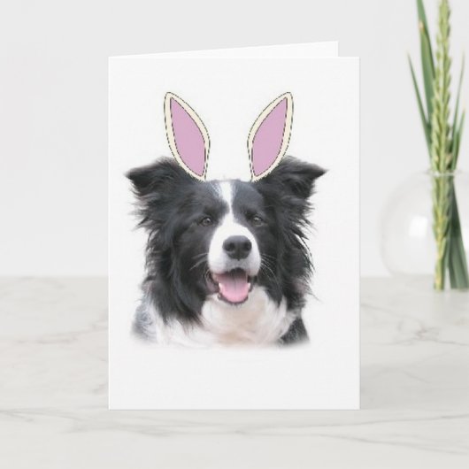 Ditzy Dogs~Original Notecard~Border Collie~Easter Feestdagen Kaart (Voorkant)
