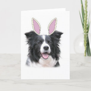 Ditzy Dogs~Original Notecard~Border Collie~Easter Feestdagen Kaart