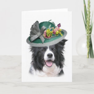 Ditzy Dogs~Original Notecard~Border Collie~Easter Feestdagen Kaart