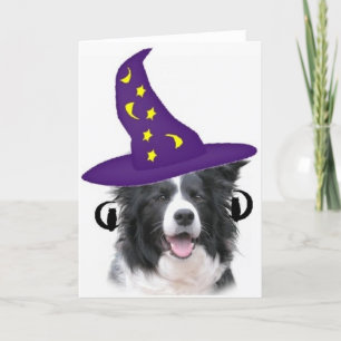 Ditzy Dogs~Original Notecard~Border Collie Kaart