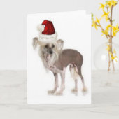 Ditzy Dogs~Original Notecard~Chinese Kuif Kaart (Gele Bloem)