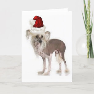 Ditzy Dogs~Original Notecard~Chinese Kuif Kaart