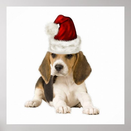 Ditzy Dogs~Original Poster~Beagle~Kerstmis Poster (Voorkant)