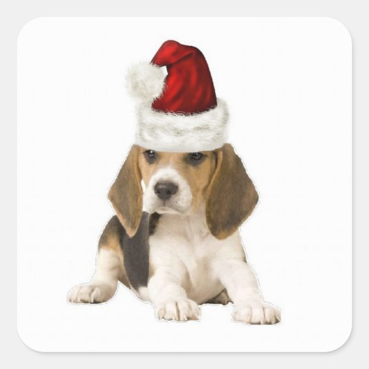 Ditzy Dogs~Original Sticker~Beagle~Kerstmis Vierkante Sticker (Voorkant)