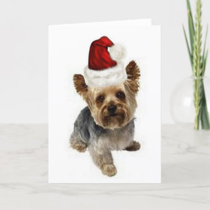 Ditzy Dogs~Originele briefkaart~Yorkie~Kerstmis Feestdagen Kaart