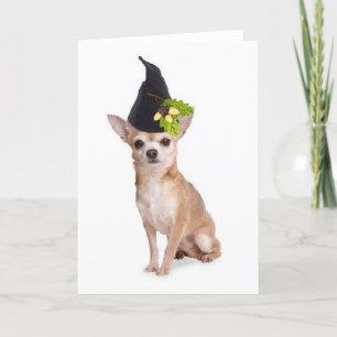 Ditzy Dogs ~ Originele Greetomg Kaart ~ Chihuahua