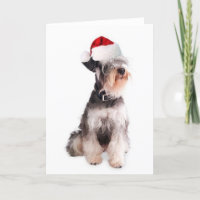 Ditzy Dogs~Originele Notecard~Miniatuur Schnauzer