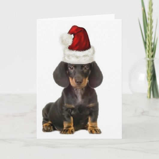 Ditzy Dogs~Originele Notecard~Teckel Kaart (Voorkant)