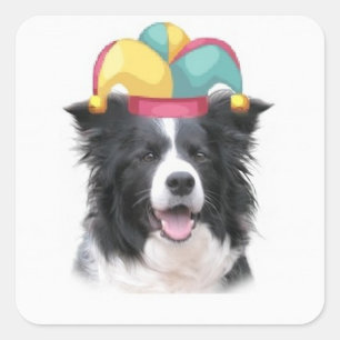 Ditzy Dogs~Originele Sticker~Border Collie Vierkante Sticker