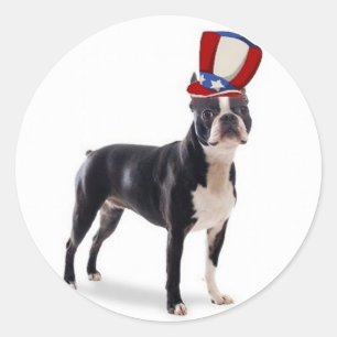Ditzy Dogs~Originele Sticker~Boston Terrier Ronde Sticker