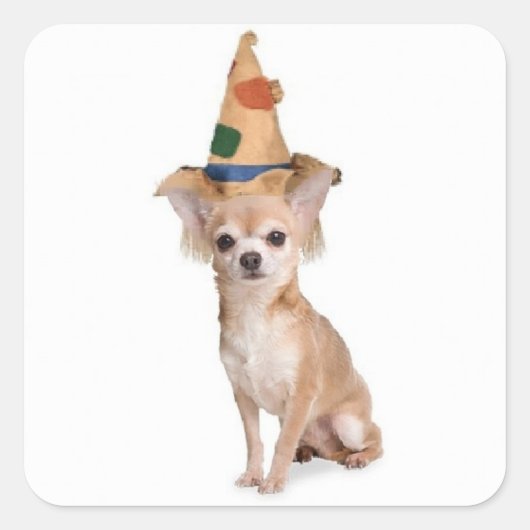 Ditzy Dogs~Originele Sticker~Chihuahua~Halloween Vierkante Sticker (Voorkant)
