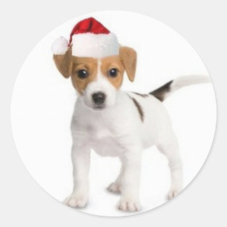 Ditzy Dogs ~ Originele Sticker ~ Jack Russell Terr