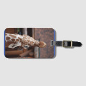 Diva Bagagelabel #1 (Voorkant (horizontaal))