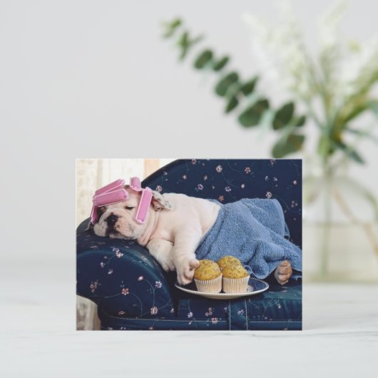 Diva bij het maken briefkaart (Staand voorkant)