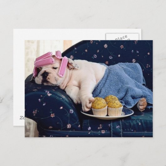 Diva bij het maken briefkaart (Voorkant / Achterkant)