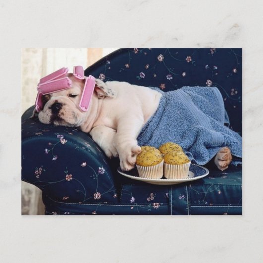 Diva bij het maken briefkaart (Voorkant)