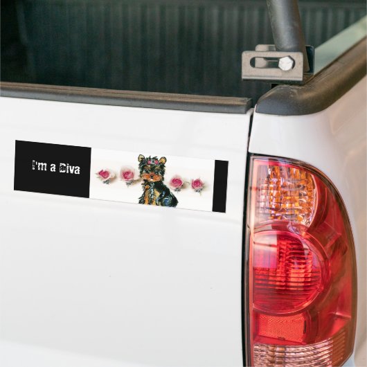 Diva Bumpersticker (Op Truck)
