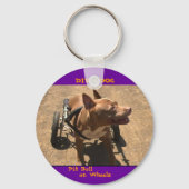 DIVA DOG Rollin' in stijl Sleutelhanger (Voorkant)