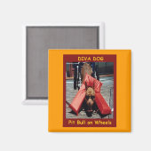 DIVA HOND Chillin 'Koelkast Magneet (Voorkant / Achterkant)