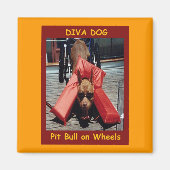 DIVA HOND Chillin 'Koelkast Magneet (Voorkant)