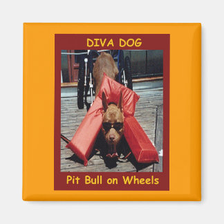 DIVA HOND Chillin 'Koelkast Magneet