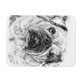 DIVA Lilybug flexibele magneet (Horizontaal)