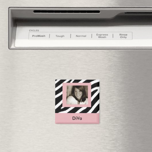 DIVA MAGNEET (Insitu (Vaatwasser))