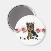 Diva Magnet (Voorkant / Achterkant)