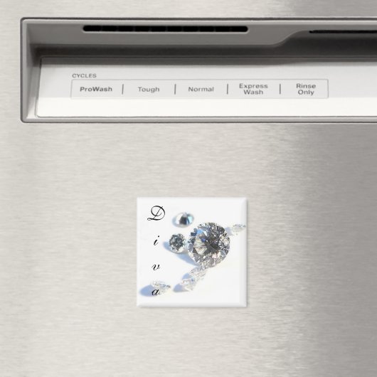 Diva Magnet (Insitu (Vaatwasser))