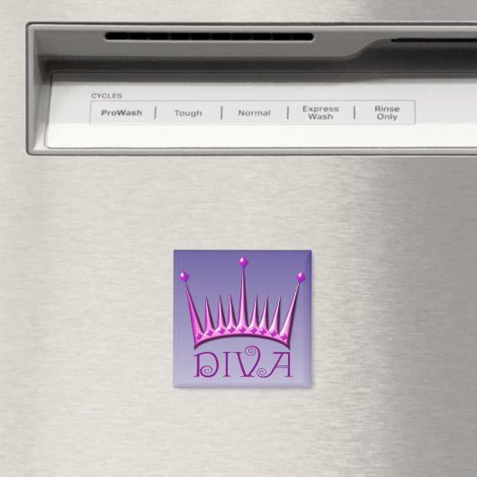 Diva magnet in fuschia AH2010 (Insitu (Vaatwasser))