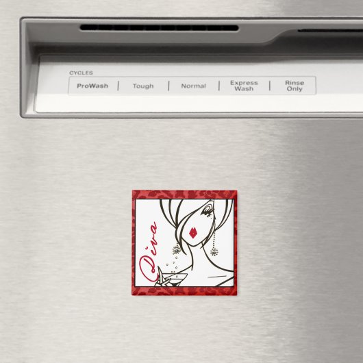 Diva of a Magnet (Insitu (Vaatwasser))