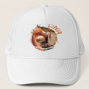 Diva Trucker Hat. Pet