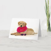 Diva van het Puppy van het golden retriever Kaart (Voorkant)