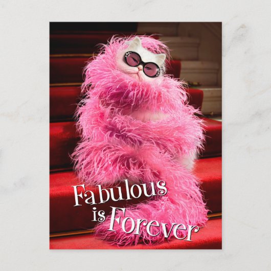 Diva White Cat Wrapped in Pink Boa on Red Carpet Briefkaart (Voorkant)