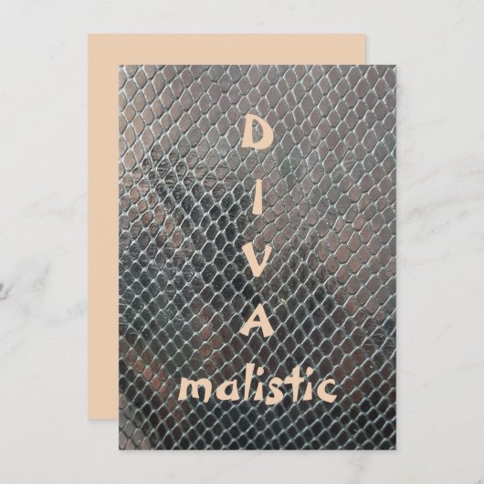 DIVAmalistisch Multicolor Snakeskin-afdrukplatte k (Voorkant / Achterkant)