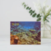 Dive Aruba-Briefkaarten Briefkaart (Staand voorkant)