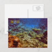 Dive Aruba-Briefkaarten Briefkaart (Voorkant / Achterkant)