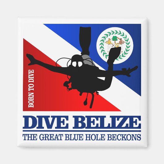 Dive Belize DF2 Magneet (Voorkant)