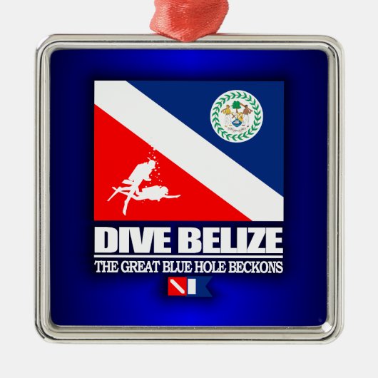 Dive Belize Metalen Ornament (Voorkant)