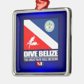 Dive Belize Metalen Ornament (Links)
