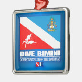Dive Bimini (geslacht) Metalen Ornament (Links)