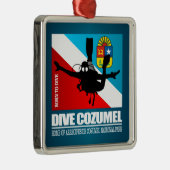 Dive Cozumel DF2 Metalen Ornament (Rechts)