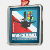 Dive Cozumel DF2 Metalen Ornament (Links)